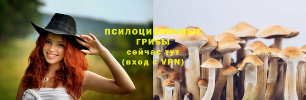 СК Богданович