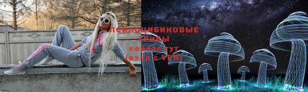 СК Богданович