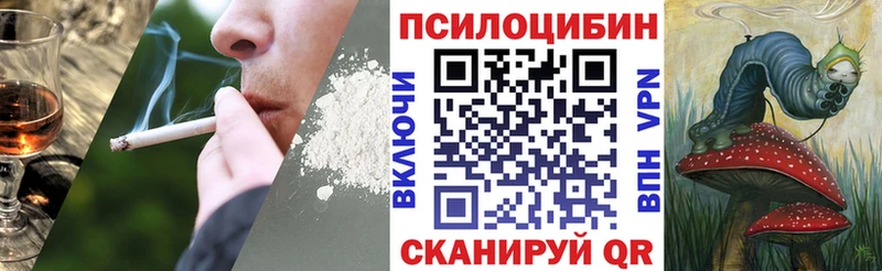 Псилоцибиновые грибы Magic Shrooms  Воронеж 